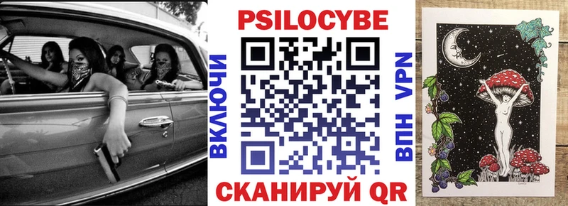 что такое наркотик  OMG зеркало  Псилоцибиновые грибы мицелий  Стрежевой 
